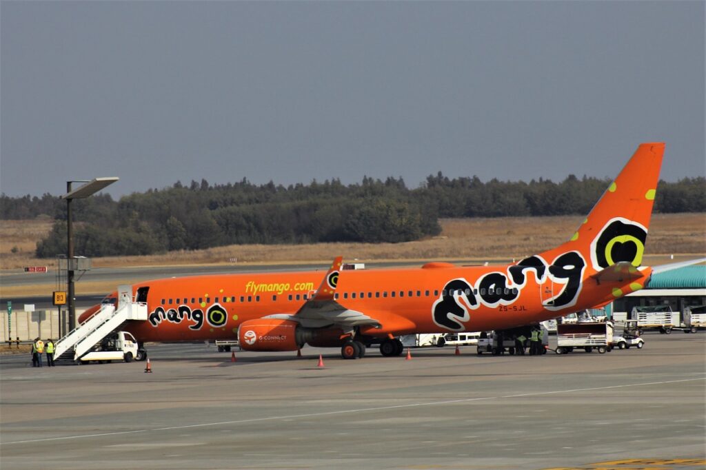 mango, airlines, bright-4450491.jpg